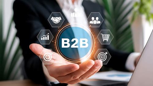 Technologie nopCommerce - B2B-Commerce op maat